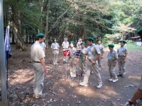 2011��������