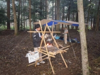 2011��������