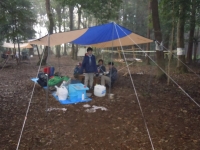 2011��������