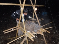 2011��������