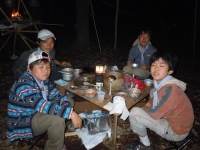 2011��������