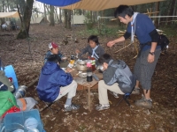 2011��������