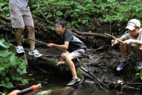 2011�ͱ��ƥ�����