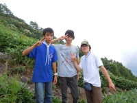 2011�ͱ��ƥ�����