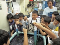 ���դ����äƤ������ˡ��ۤ���������ޤ������ǧ���Ƥ��ޤ���