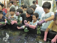 �ԥ���Ĥȥϥ󥫥������դˤĤ��ƿ��Ť�����Ƥ��ͻҤǤ���