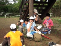 ĺ����ȤΤߤ�ʤ��뿩�Ǥ�����줿�ΤǤ��Ӥ���̣����