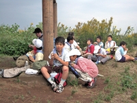 ĺ����ȤΤߤ�ʤ��뿩�Ǥ�����줿�ΤǤ��Ӥ���̣����