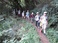 ����������ף�(^��^* )