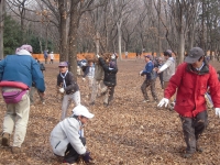 �������Ȥ���������չ��