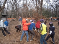 �������Ȥ���������չ��