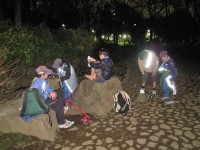 ��ٻߥݥ�������塪����äȵ٤�ǽ�ȯ����