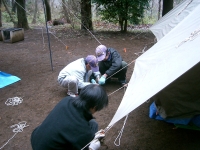 ����Фäơ������פȥƥ�Ȥ�ĥ�äƤޤ���