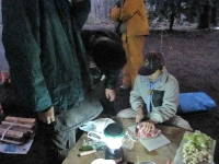 ���֥������Ȥ����⡢����������