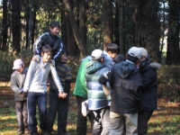 ī�ϤȤäƤ⴨���ä�����������ǡ��Τ򲹤�ޤ�����