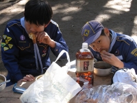 ����ϡ���ٵ�Υե�󥹥ѥ�ȥӡ��ե����塼��