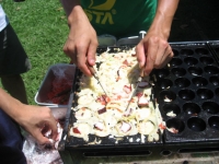 �裱�����ڥե��ɥ��åץץ������