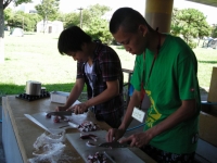 �裱�����ڥե��ɥ��åץץ������