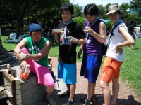 �裱�����ڥե��ɥ��åץץ������