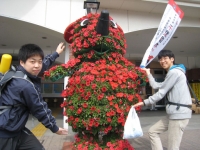 2010���ڥӥ�å��ե�����