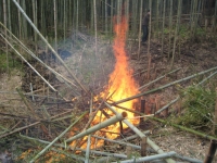 2010���ڥӥ�å��ե�����