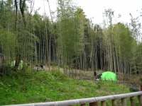 2010���ڥӥ�å��ե�����