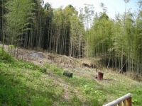 2010���ڥӥ�å��ե�����