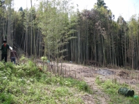 2010���ڥӥ�å��ե�����