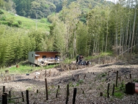 2010���ڥӥ�å��ե�����