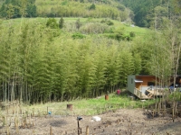 2010���ڥӥ�å��ե�����