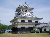 2010���ڥӥ�å��ե�����